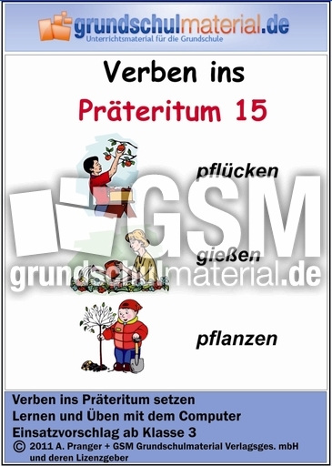 Verben ins Präteritum 15.zip